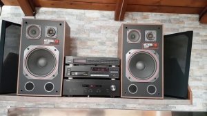 Tonsil mildton 70+Yamaha AS 201