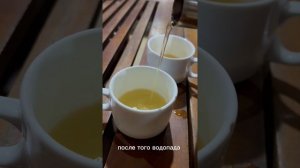 Экскурсии по Шри - Ланке