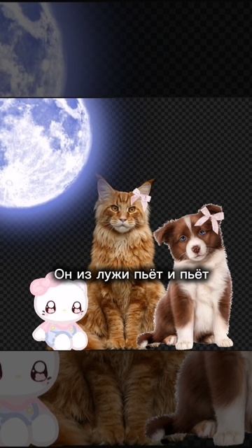 Пою песню как вам?) смотреть онлайн