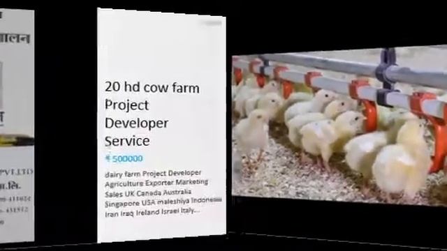 Agriculture Business Development Services Export Marketing USA UAE Singapore Africa Russia European