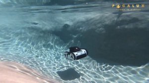 Al-Wireless Poolrobot pogalux InverX XWarrior first use erster Test kabellosen Poolroboters cordles