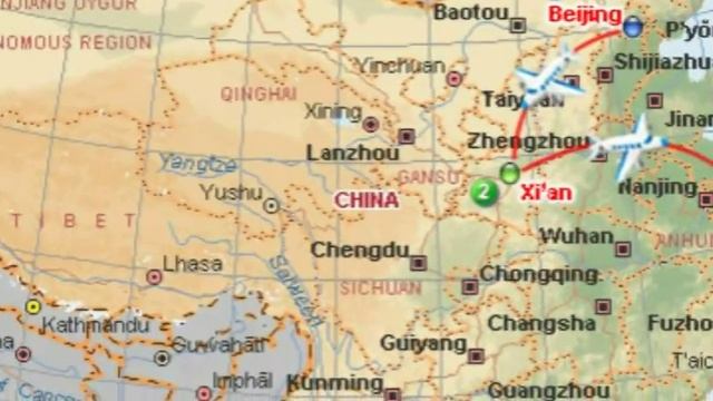 Grandma stews grandson's costly Asian arowana for lunch while he's away on business trip смотреть онлайн