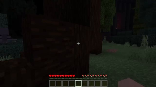 VID_20250130_214416_839