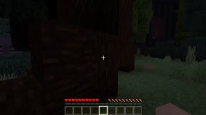 VID_20250130_214416_839