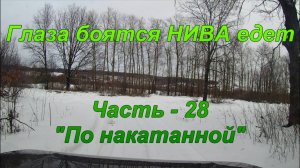 Глаза боятся НИВА едет. Часть - 28. "По накатанной".