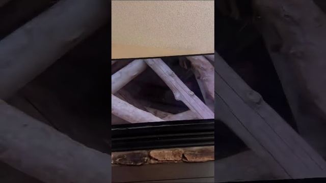 Захватывающий сюжет