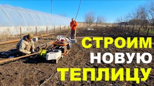Строим новую теплицу. Голден Спрей для будущего редиса.
