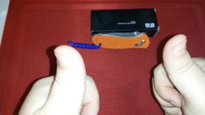 Orange Ganzo 740 and HoHo Info!