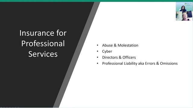 Delta Business Bite Snippet Professional Service Insurance смотреть онлайн