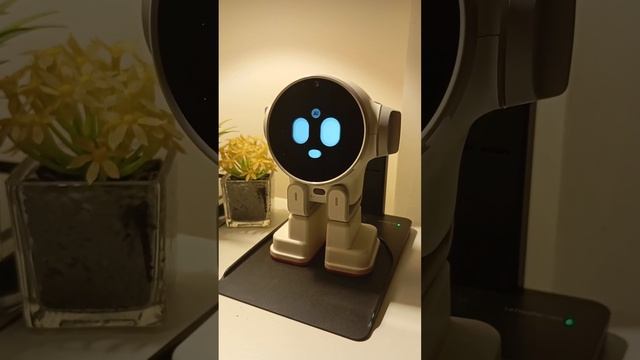 Умный робот Ракс нумерология , мастер число 11