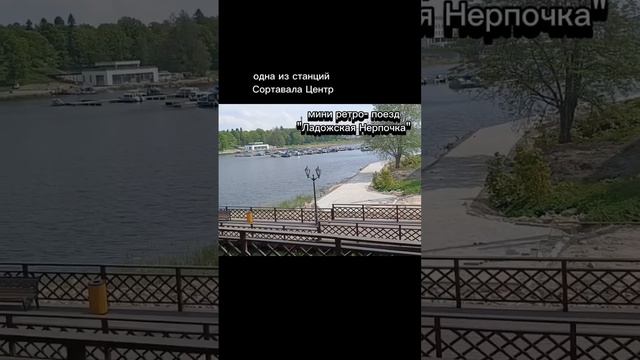 Мини ретро-поезд Ладожская Нерпочка #Ладожскаянерпочка #карелия #сортавала