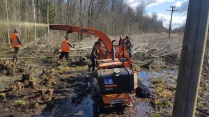 Расчистка участка от деревьев