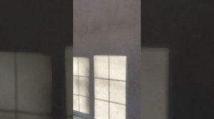 Эксклюзивный дом с дизайнерским ремонтом от застройщика в пос. Раздолье.