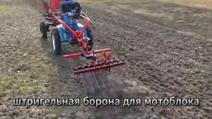 Штригельная борона для мотоблока