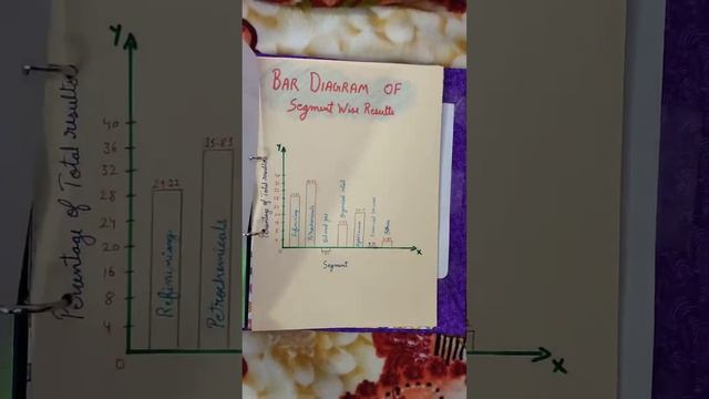 Segment Report Analysis| Reliance Industries Ltd| Accounts Project| Class 12th |20 marks File |CBSE