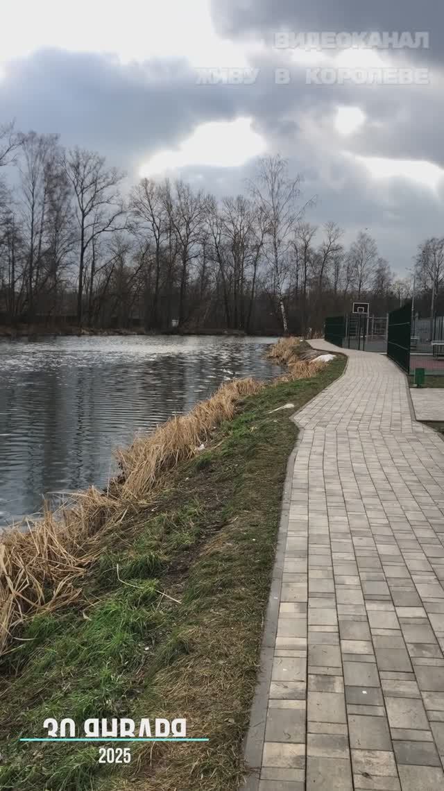 Самый лучший январь 2025