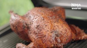 Ninja Woodfire Pro Connect XL Electric BBQ Grill & Smoker | OG901UK | Getting Started