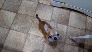 Учимся говорить слово мама