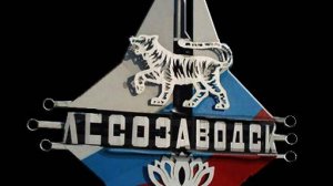 Лесозаводск Мой город