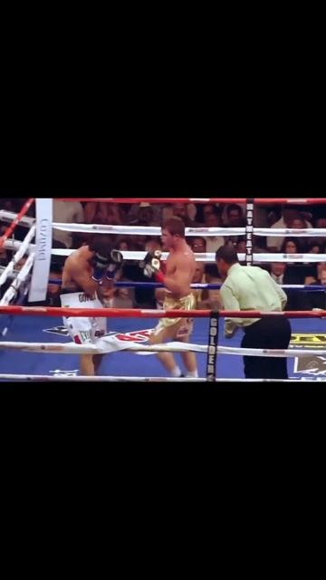 Destructive 9 Punch Combination: Canelo vs Josesito Lopez #shorts смотреть онлайн