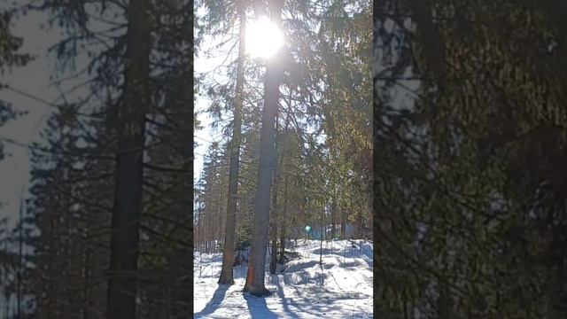 Просто прогулка.