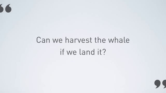 Whale Hunters Summary (Business Book Summary #15) смотреть онлайн