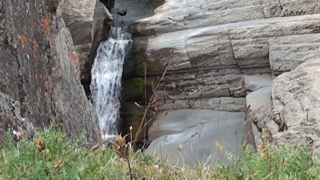 3 Пути Дороги Сергея Горбунова   Кара   Буредан   05 02 2023 Вариант 2 смотреть онлайн