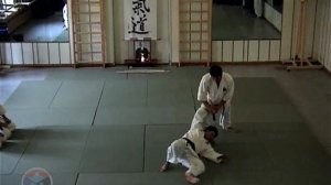 Переход от базовых техник к техникам повышенной сложности в Ёсинкан Айкидо.