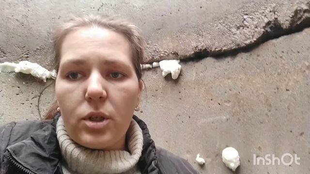 Установка теплицы, защита бруса теплицы. Канализация продолжение.