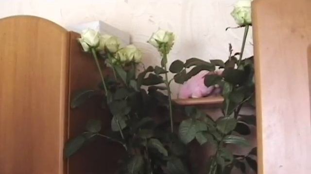 "РАДУГЕ 10 ЛЕТ" - ПРАЗДНИЧНАЯ АКЦИЯ. ЧАСТЬ 1. смотреть онлайн