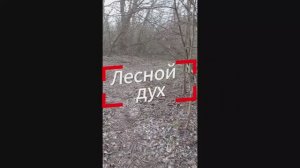 Лесной дух