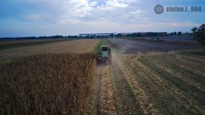 RealFarming - Corn (kukuruz) - Claas Avero 240