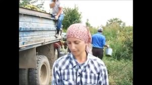 Незаконная недвижимость главы администрации Магарамкентского района - фильм 5