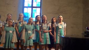 слети к нам, тихий вечер