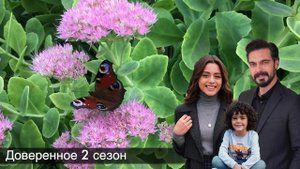 ДОВЕРЕННОЕ 333 серия. Близость Ямана и Сехер состоялась!!!