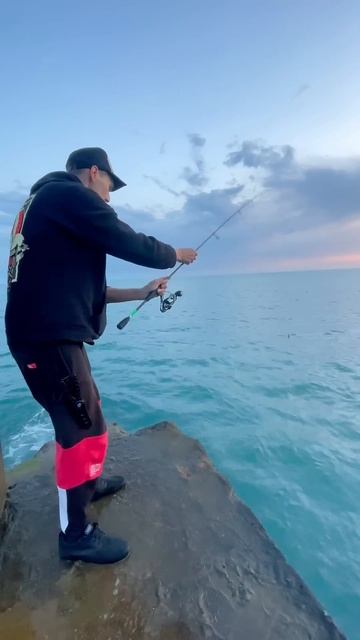 Ловля ставриды на ставку. Рыбалка в Сочи #fishing #рыбалка #sochi #рыба #сочи #море #seafishing