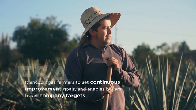 FSA Introductory Video смотреть онлайн