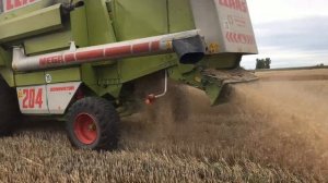 CLAAS MEGA DOMINATOR 204 w Akcji, Żniwa 2020