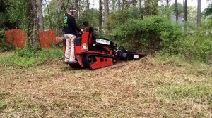 Crewcutservices.com Toro dingo tx1000 mini skid steer with quick attach brush mower. Mowing brush.