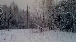 Пунгино. Зима 2014.