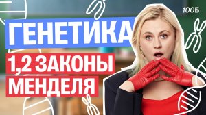 Первый урок курса "Таблетка+". Генетика. 1,2 законы Менделя | Ксения Напольская