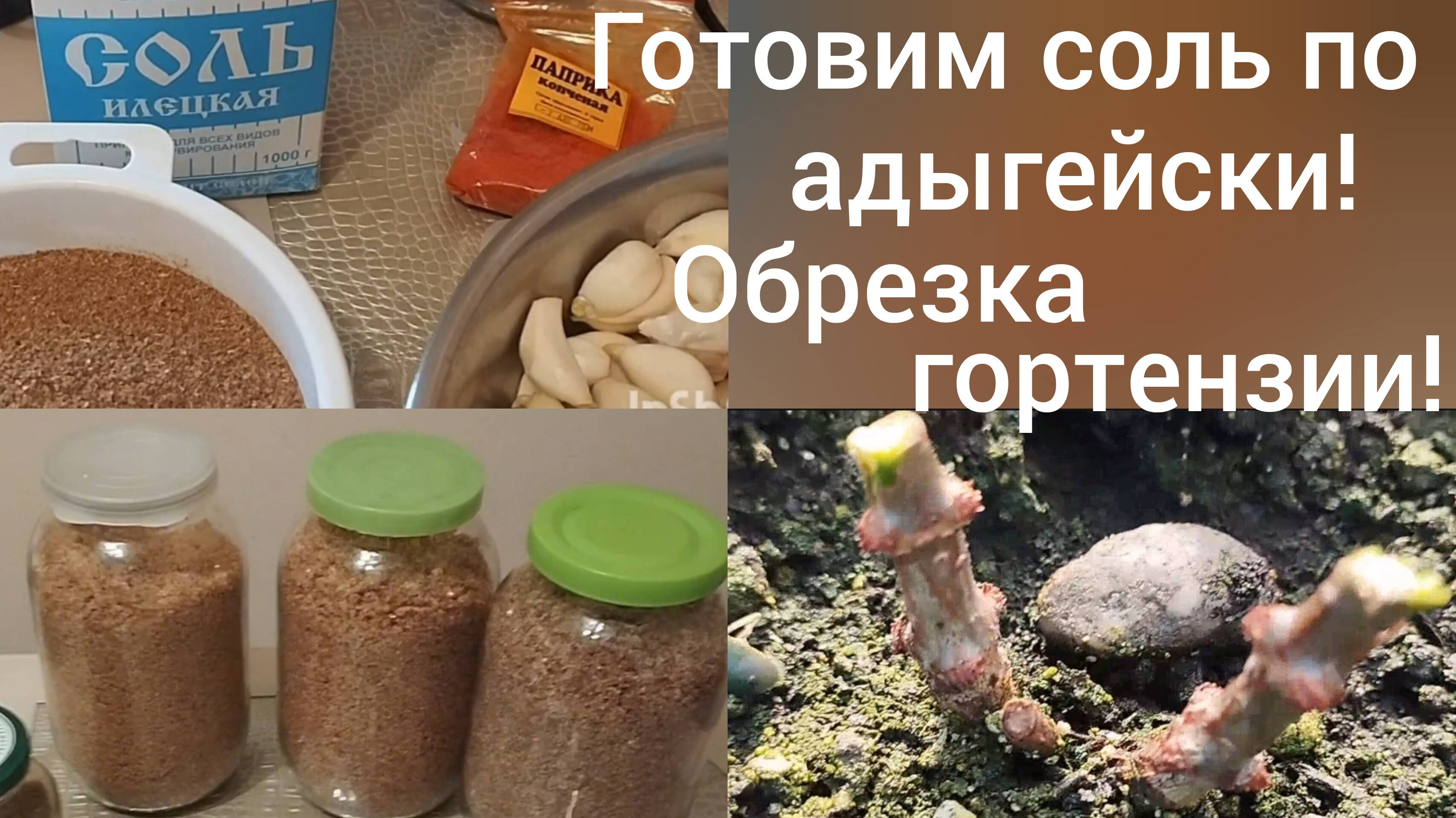 Обрезаем метельчатые гортензии в саду/Делаем сами адыгейскую соль/Переехали в Адыгею из Омска/