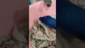 Пятновыводитель EASY CLEAN. Так ли он хорош? 🤔