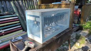 вялим рыбку, чтобы мухи не добрались)))