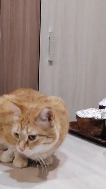 А у меня пасхальный  А у вас? смотреть онлайн