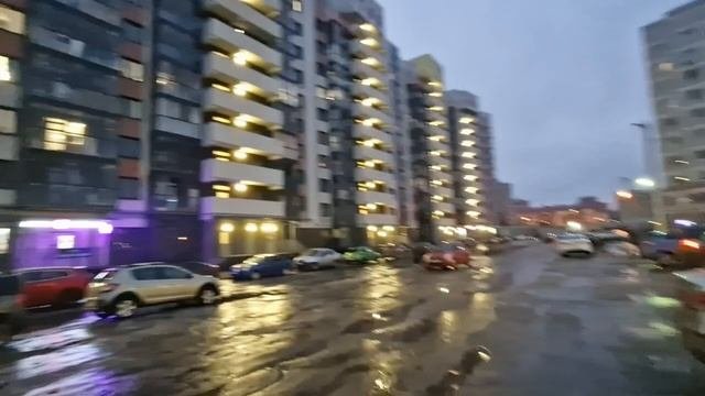 Обзорное