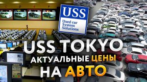 Актуальные цены с Японского автоаукциона USS Tokyo. Какой авто привезти из Японии. Считаем онлайн.