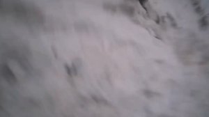 НОВОЕ ЖЁСТКОЕ ВИДЕО МАКСА ВАЩЕНКО!