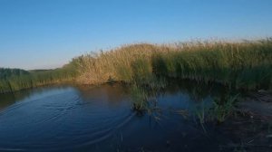 Рыбалка кастинговой сетью №3 2024