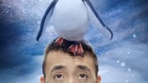 Реклама Halls 2016   Пингвины